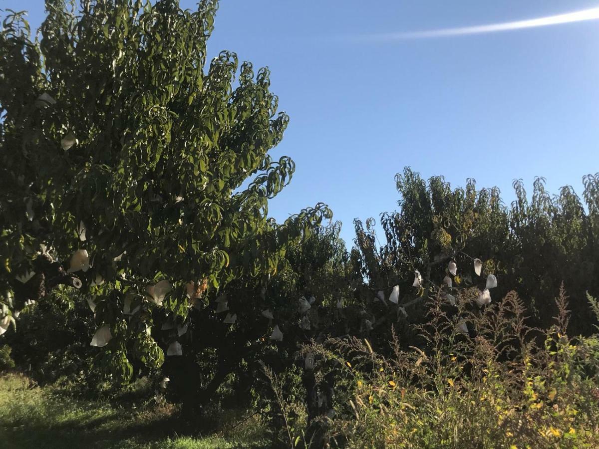 Apartamentos Calanda Dış mekan fotoğraf